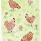 "NEW Chickens" 5x7 BLANK Greeting Card / Fine Art Print