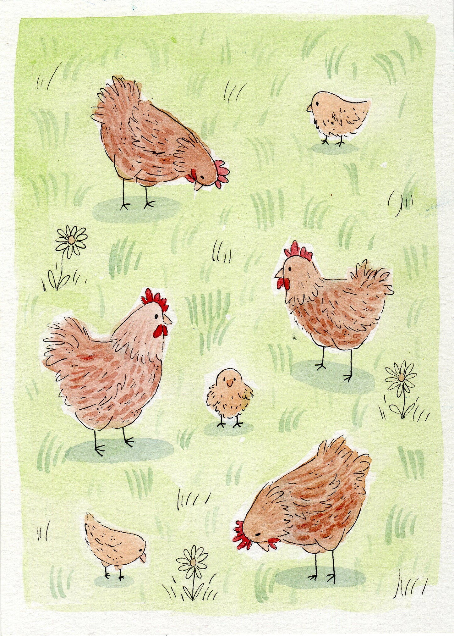"NEW Chickens" 5x7 BLANK Greeting Card / Fine Art Print